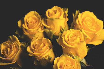 Bouquet of beautiful yellow roses close up on dark background with garland lights. Abstract backdrop for seasonal cards, posters, blogs and web design.