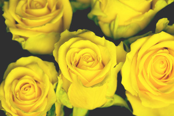 Bouquet of beautiful yellow roses close up on dark background with garland lights. Abstract backdrop for seasonal cards, posters, blogs and web design.