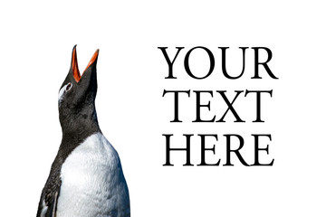 Penguin text space