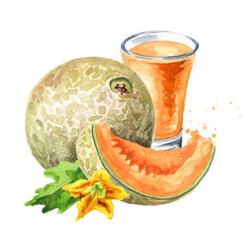 Glass of melon juice with whole and cut cantaloupe melon. Watercolor hand drawn illustration, isolated on white background