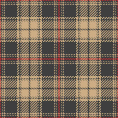 Tartan plaid pattern background. Seamless striped check plaid graphic in dark brown, beige, and red for flannel shirt, skirt, jacket, bag, upholstery, or other modern fabric design.