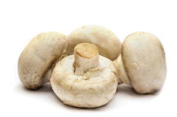 porcini mushrooms, champignons on a white background.