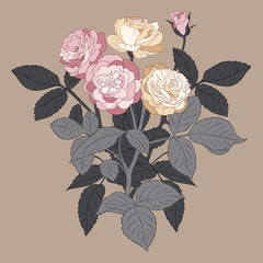 .Vector background with a bush of roses. Color floral template.