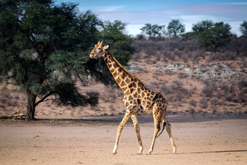 Südafrika