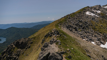 Volcán, árbol, naturaleza, bosque, meditación, verde, asombro, camino, volcan, lagos, montañas, sendero, trekking, caminata, senderismo, de naturaleza, araucaria, milenario, contemplación