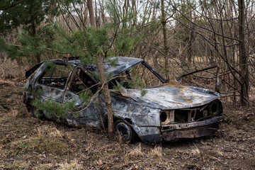 car burned after the accident