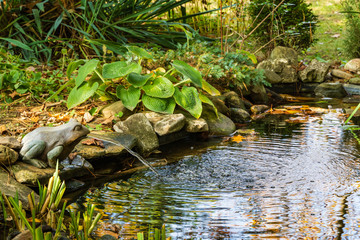Frog-shaped fountain in beautiful small garden pond with stone shores in autumn in October. Selective focus. Calmness and relaxation. Nature concept for design.