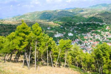 Drzewa piniowe na zboczu góry z miastem w tle. © Mariusz