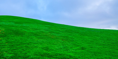fresh real green grass lawn on hill with blue cloud sky