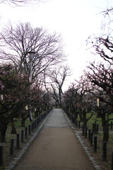 大阪城公園　大阪　日本