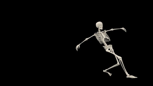 Skeleton Dancing Fun Dance
