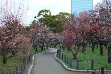 大阪城公園　大阪　日本