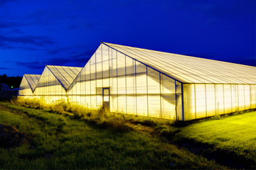 An industrial polythene greenhouse exterior, Sweden