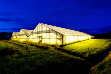 Illuminated green house at night, Hammarö, Värmland, Sweden