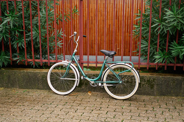 Green bicycle with white tires parked near the fence in the park