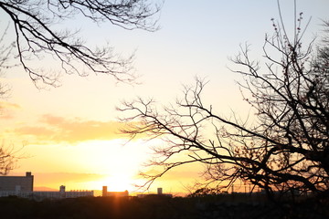 大阪城公園　大阪　日本