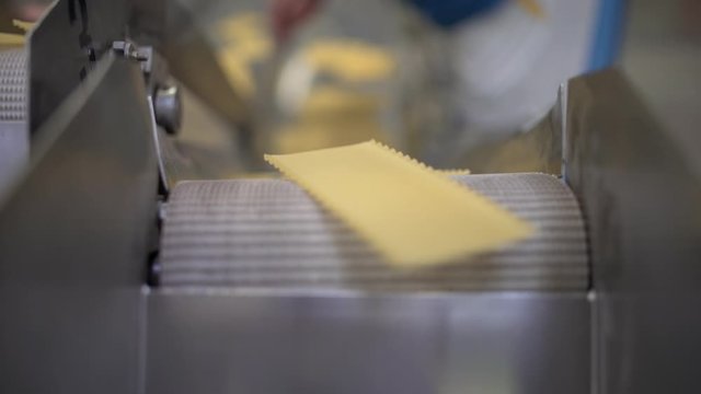 Great closeup shot of dried sheets of lasagne pasta passing on a conveyor belt in a pasta factory. Italian food and gastronomic traditions.