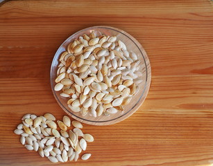 The benefits of pumpkin for human health. Pumpkin seeds on a light wooden background. Photo for medicine and agriculture. P