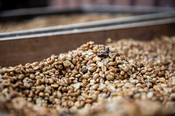 Natural or Dried in the coffee Process, honey Process skin and pulp are removed, but some or all of the mucilage (Honey) remains. Washed Process skin, pulp, and mucilage are removed using water and fe