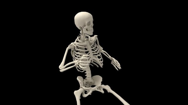 Skeleton Close Up