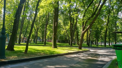 Summer in the park