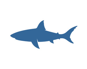 Fototapeta premium Shark logo vector design template, Silhouette Shark logo, Illustration