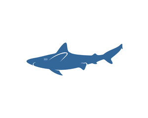 Shark logo vector design template, Silhouette Shark logo, Illustration