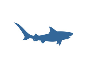 Shark logo vector design template, Silhouette Shark logo, Illustration