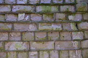 Old shabby, wrecked brick wall with grey cement mortar as background