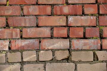 Old shabby, wrecked brick wall with grey cement mortar as background