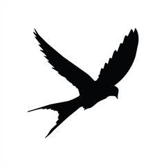 Bird vector, bird icon vector, vector illustration.