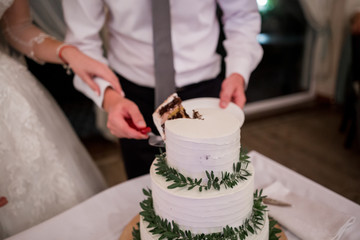 Obraz na płótnie Canvas bride and groom cut a wedding cake