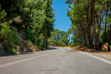 Lonely road with curve in a forest