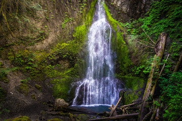 Fototapeta na wymiar MarymerMarymere Falls, near Lake Crescent, Olympic National Park or Peninsula, Washington state, USA.