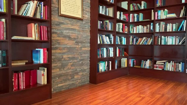 Library books on various shelves