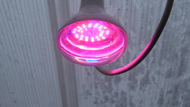 greenhouse heating lamp, phyto lamp