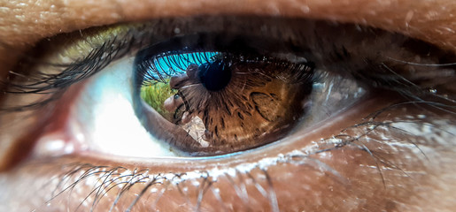 closeup of an eye