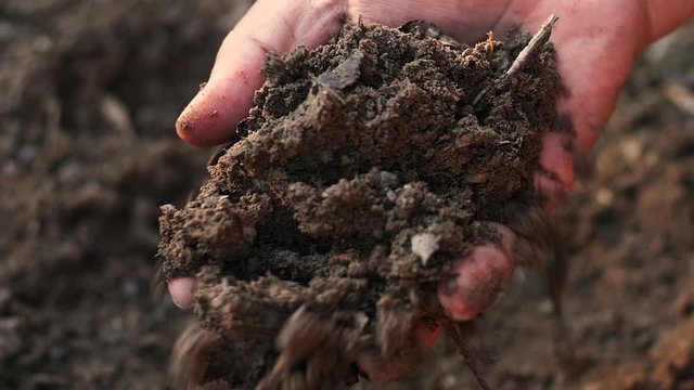 Farmer hand testing organic soil by pouring to below slow motion shot