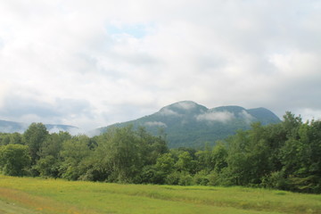 Naklejka premium Mountain with trees