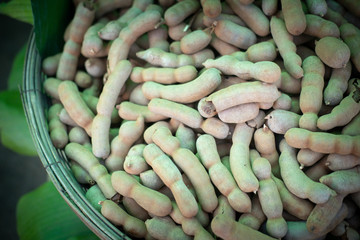 Sweet tamarind for sale in the market fruit