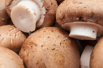 close up of brown mushrooms 