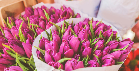 Tulip flower on Market