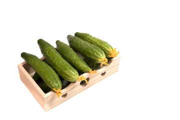 organic natural vegetable, Fresh cucumber in wooden box