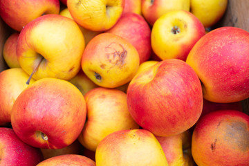 Fototapeta na wymiar A Background of Jonagold Apples