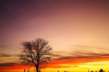 Fototapeta premium sunset in the desert