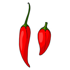 Cute red hot peppers on white background. Vector image.