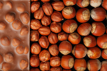 Chocolate with hazelnuts, nuts in a shell in the form of a solid texture. Dessert-milk chocolate with nuts.