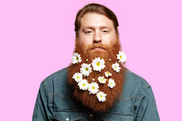 A bearded man with a decorated beard for the spring holiday on the pink background. Flower in the...