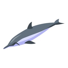 Aquatic dolphin icon. Isometric of aquatic dolphin vector icon for web design isolated on white background