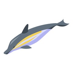 Wild dolphin icon. Isometric of wild dolphin vector icon for web design isolated on white background